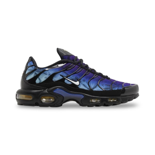 nike greedy tn